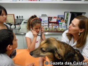 Veterinario notícias das Caldas