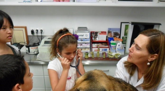 Crianças aprendem a cuidar dos “amigos de quatro patas” notícias das Caldas