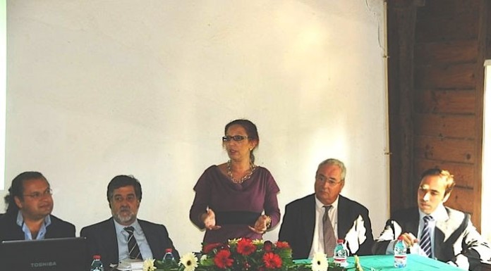 Empresários recebem formação em Óbidos notícias das Caldas