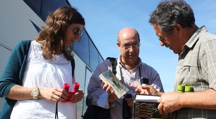 Empresa aposta na observação de aves como oferta turística notícias das Caldas