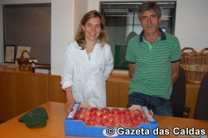 Frutalvor notícias das Caldas