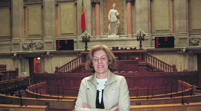 Maria da Conceição Pereira questiona governo sobre Museu da Cerâmica nas Caldas da Rainha notícias das Caldas