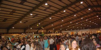 Mais de 200 mil pessoas nos onze dias da Festa de Verão notícias das Caldas