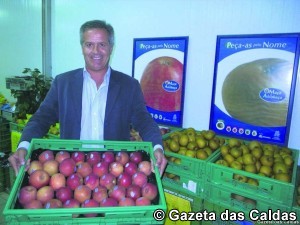 Maçã de Alcobaça notícias das Caldas