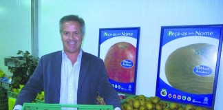 Maçã de Alcobaça não precisa de subsídios notícias das Caldas