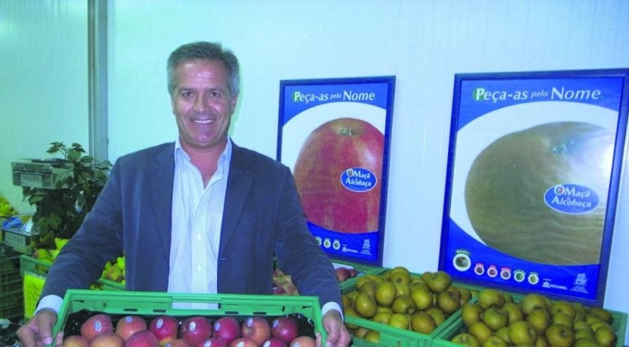 Maçã de Alcobaça não precisa de subsídios notícias das Caldas