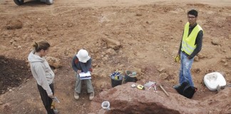 Quinta de A-da-Gorda “escondia” vestígios pré-históricos e romanos notícias das Caldas