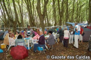 Mata Rainha D. Leonor notícias das Caldas