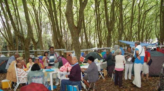 Grupos de amigos de África têm apoio da Câmara para continuarem a reunir-se na mata notícias das Caldas