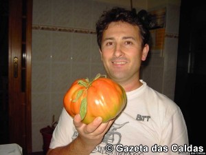 Nelson Coimbra notícias das Caldas