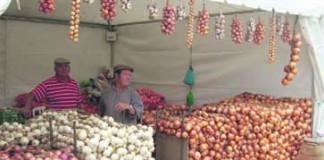 notícias das Caldas