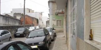 Vivo no caixote do lixo mais lindo das Caldas notícias das Caldas