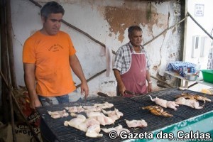 Codorniz notícias das Caldas