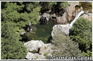 Figueiró dos Vinhos notícias das Caldas