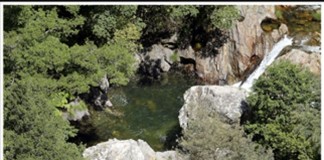 Os caminhos de Malhoa vistos pela objectiva de Mário Lino notícias das Caldas