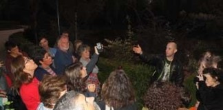 Os morcegos do Parque D. Carlos I notícias das Caldas