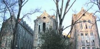 Avistar morcegos nos Pavilhões do Parque notícias das Caldas