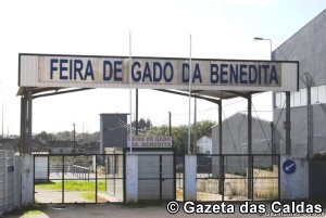 Feira do Gado notícias das Caldas