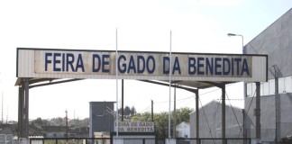 Governo reconhece interesse público do projecto para nova Feira do Gado da Benedita notícias das Caldas