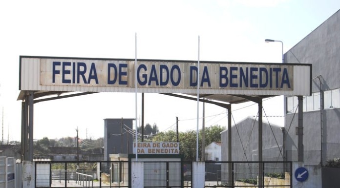 Governo reconhece interesse público do projecto para nova Feira do Gado da Benedita notícias das Caldas
