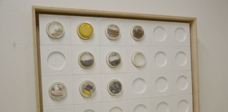 Caldas e ESAD marcam presença em vários eventos da Experimenta Design em Lisboa notícias das Caldas