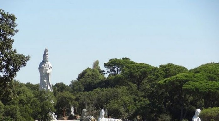 Quinta dos Loridos e Movimento Rosa Esperança em iniciativa solidária notícias das Caldas