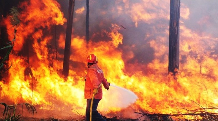 Incêndio deflagrou em Salir do Porto