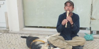 Tocador de flauta não vai ter de pagar à Câmara notícias das Caldas