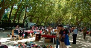 Feira das Velharias cresce para ruas laterais do Parque