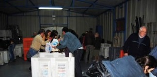 Crise abala, mas não acaba com solidariedade no Banco Alimentar notícias das Caldas