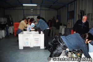 Banco Alimentar notícias das Caldas