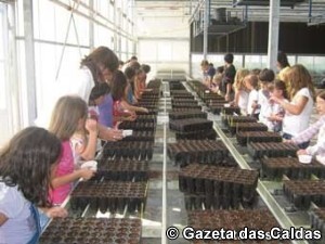 Agrupamento de Escolas Josefa de Óbidos notícias das Caldas