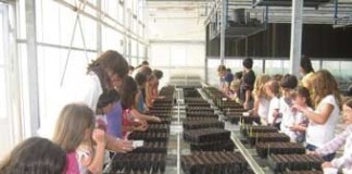 A escola na horta em vez da horta na escola notícias das Caldas