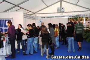Feira de Emprego notícias das Caldas