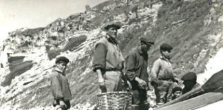 “Memória Colectiva Nazarena” em exposição notícias das Caldas