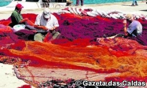 notícias das Caldas