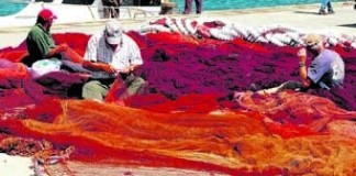 Nazaré quer governo empenhado na sustentabilidade das pescas notícias das Caldas