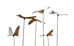 Luís Santos apresenta “Voando” em Leiria notícias das Caldas