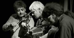 Acordeonistas de várias nacionalidades em Torres Vedras notícias das Caldas