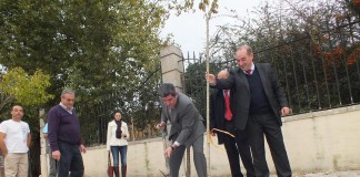 Grupo Auchan planta árvores junto ao Parque D. Carlos I notícias das Caldas