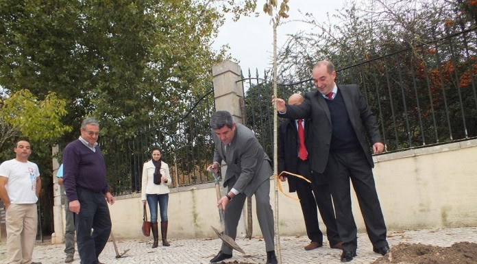 Grupo Auchan planta árvores junto ao Parque D. Carlos I notícias das Caldas