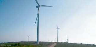 Quercus contra instalação de novo parque eólico na Serra dos Candeeiros notícias das Caldas