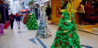 Árvores de Natal animaram Rua das Montras