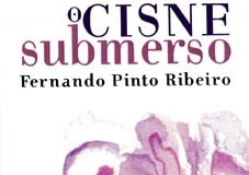 notícias das Caldas