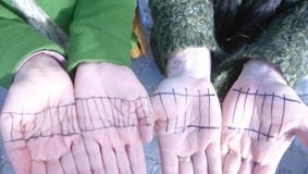 Políticos de todos os partidos elogiam qualidade do estudo de sustentabilidade da linha do Oeste notícias das Caldas