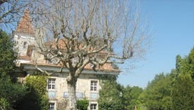 Prosseguem as festas de aniversário no Museu de Cerâmica notícias das Caldas