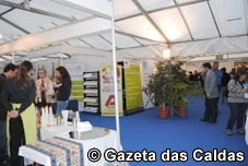 Alcobaça e Nazaré pedem prolongamento do Contrato Local de Desenvolvimento Social