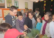 EBI de S. Martinho do Porto