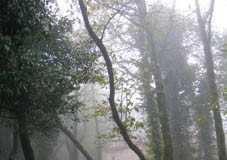 Cadaval mostra património local nas comemorações do 25 de Abril