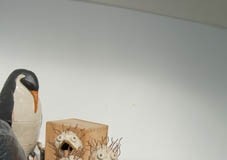 Acontecimentos Culturais